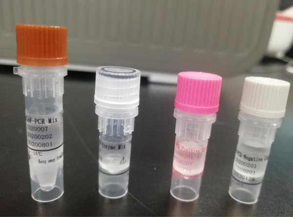 新型冠状病毒2019-nCoV核酸检测试剂盒（荧光PCR法）