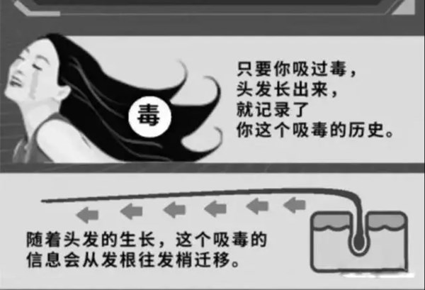毛发样本可以检测多长时间内的吸毒？